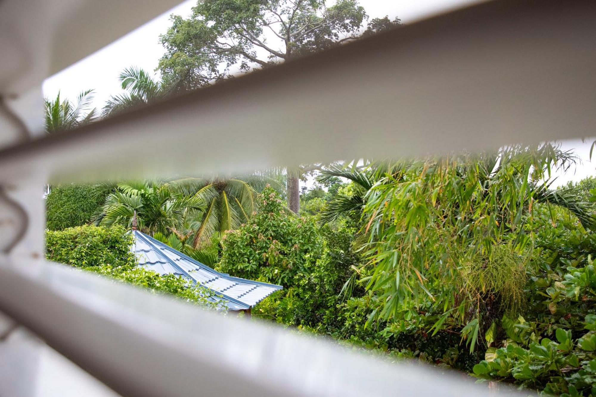 Lf Jungle Retreat Hotel Drapers Bagian luar foto