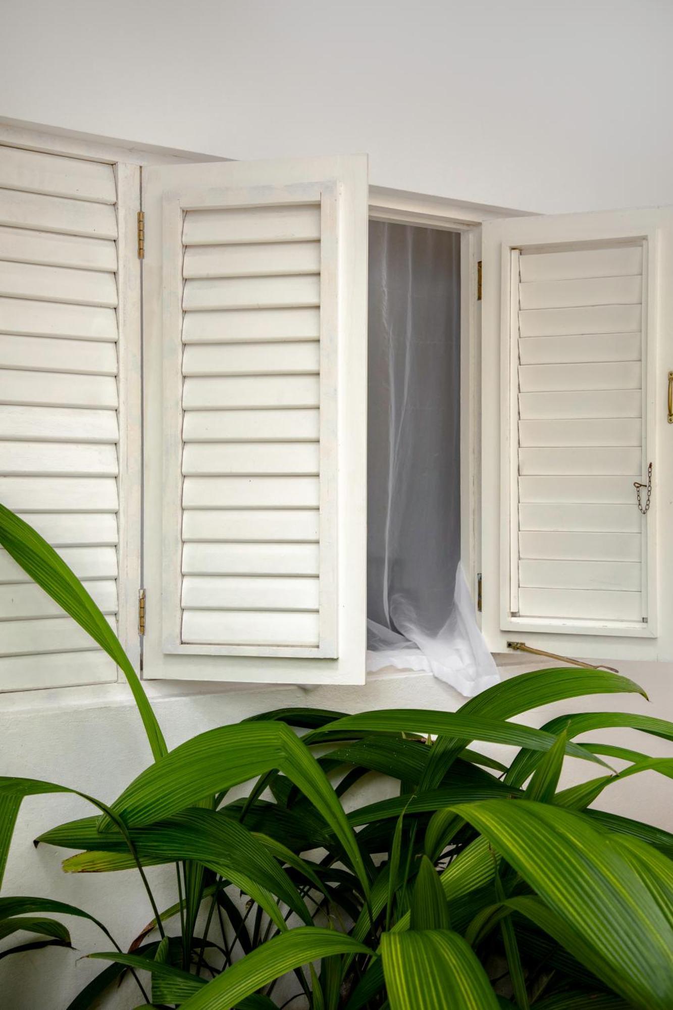 Lf Jungle Retreat Hotel Drapers Bagian luar foto
